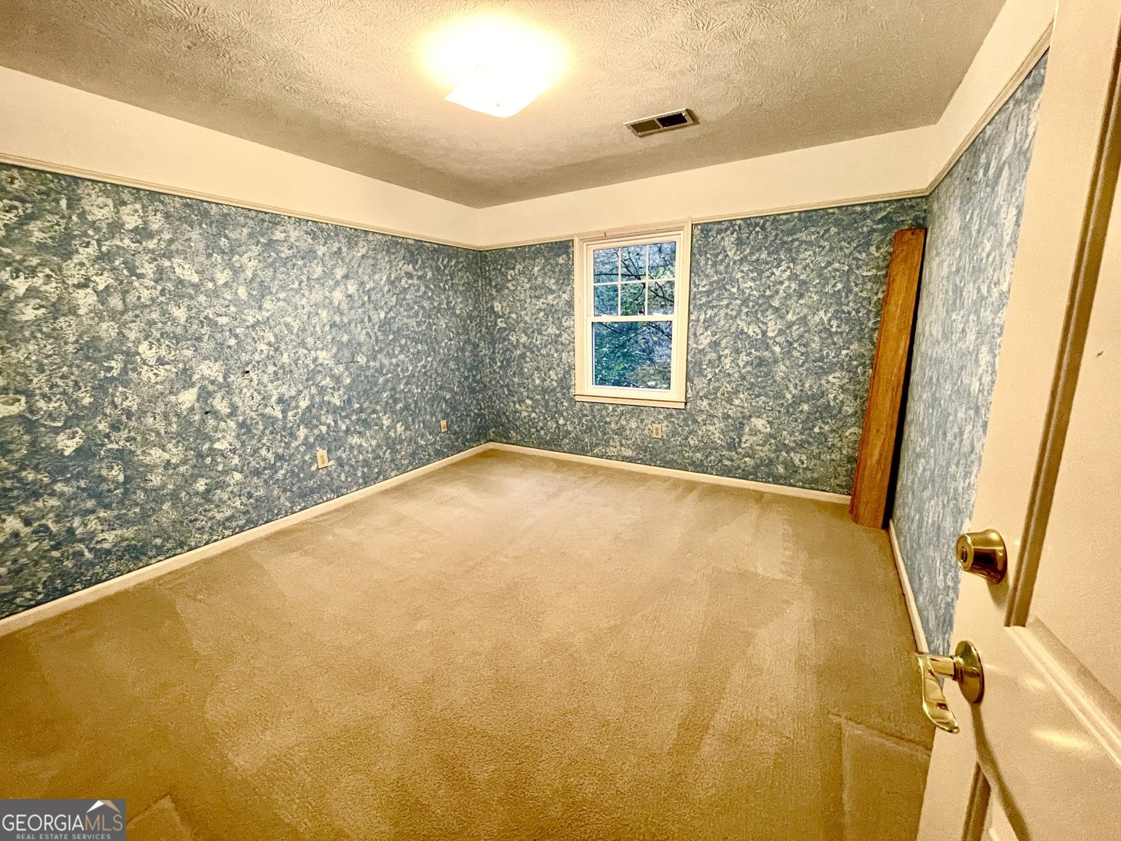 310 Spalding Circle Athens - 22