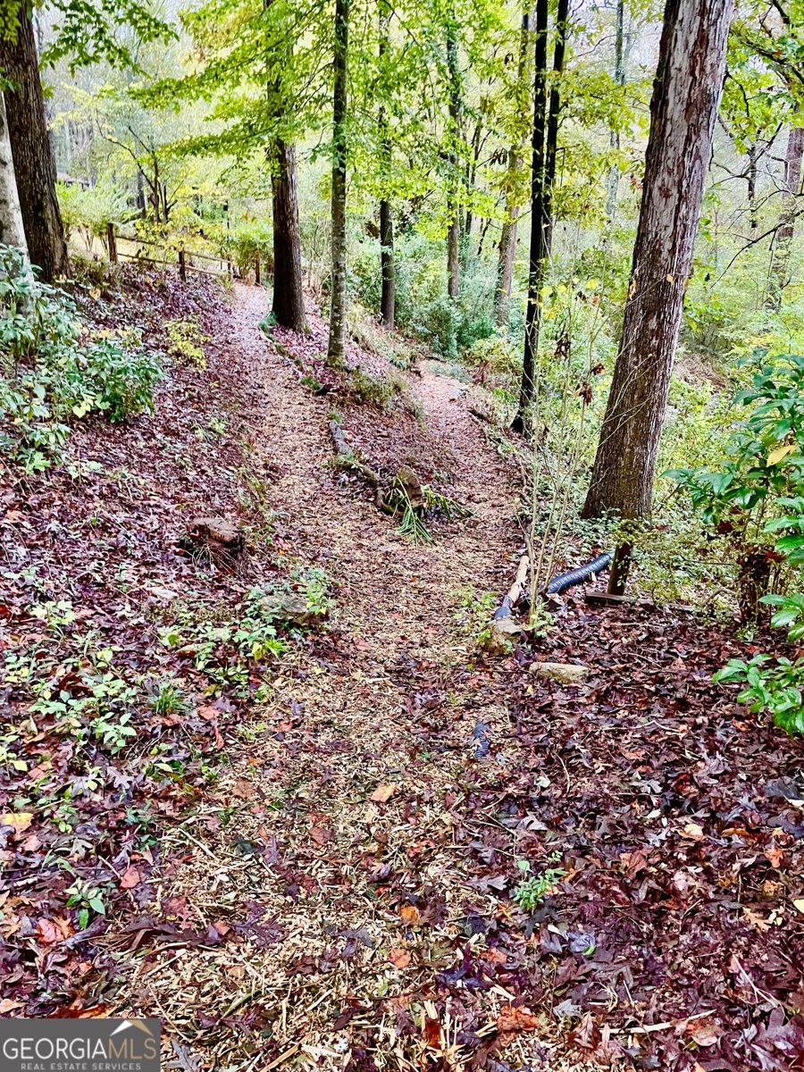 310 Spalding Circle Athens - 4