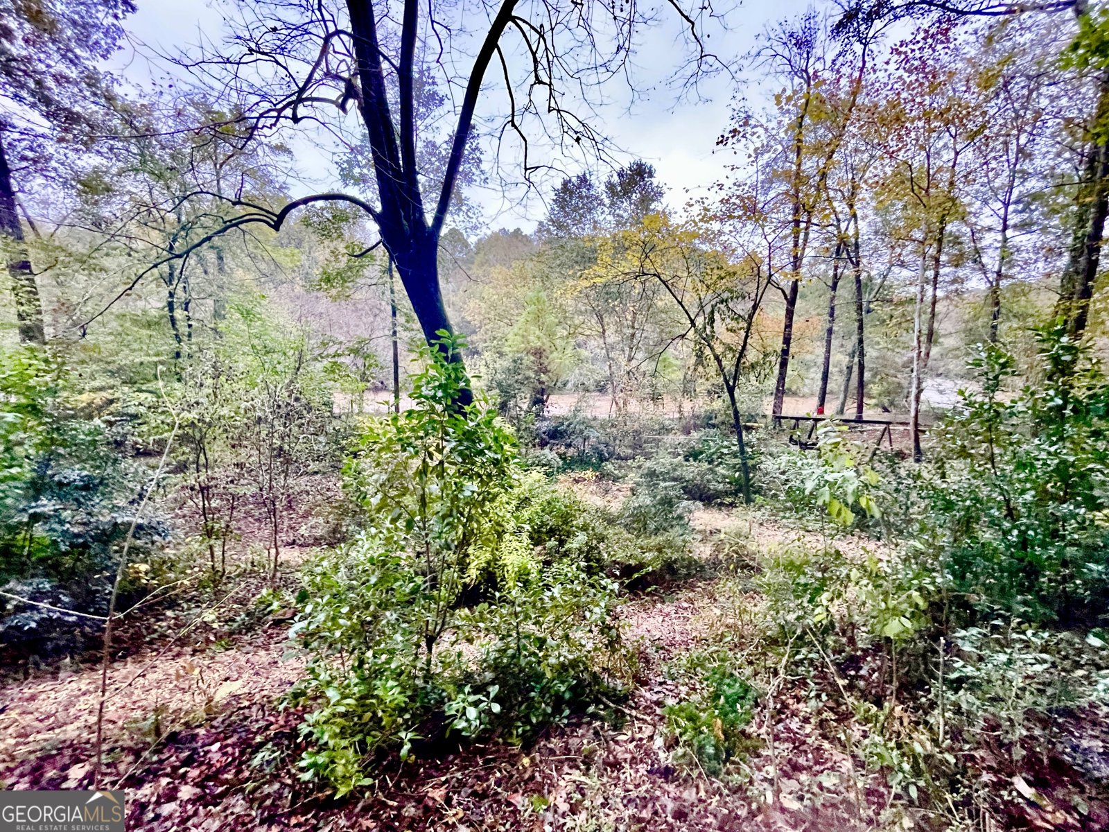 310 Spalding Circle Athens - 5