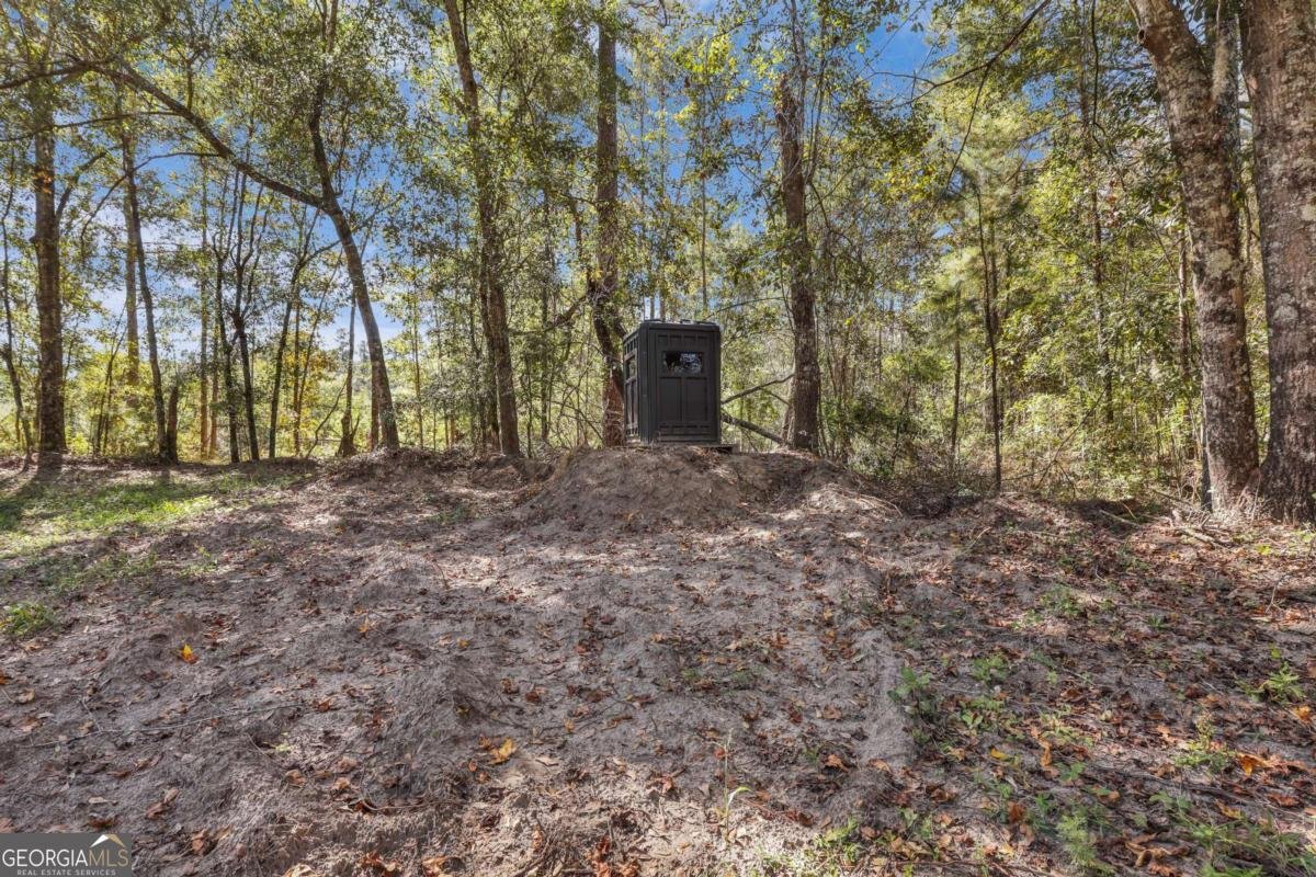 150 Cowart Lane Sylvania - 47