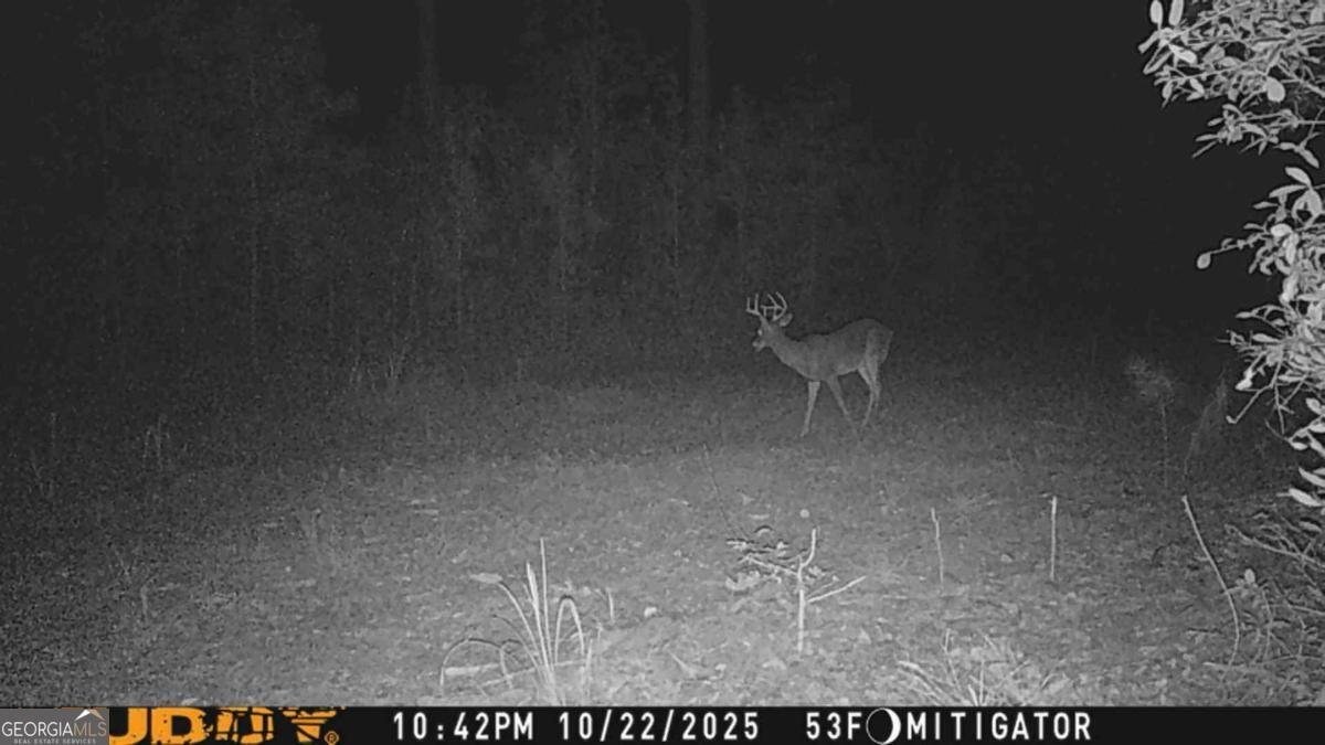 150 Cowart Lane Sylvania - 49