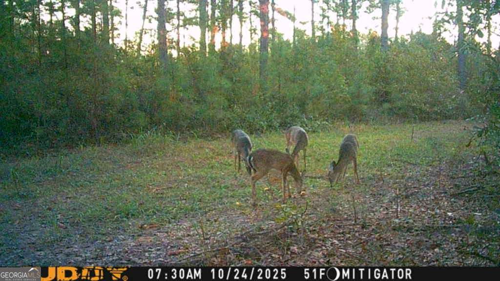 150 Cowart Lane Sylvania - 50