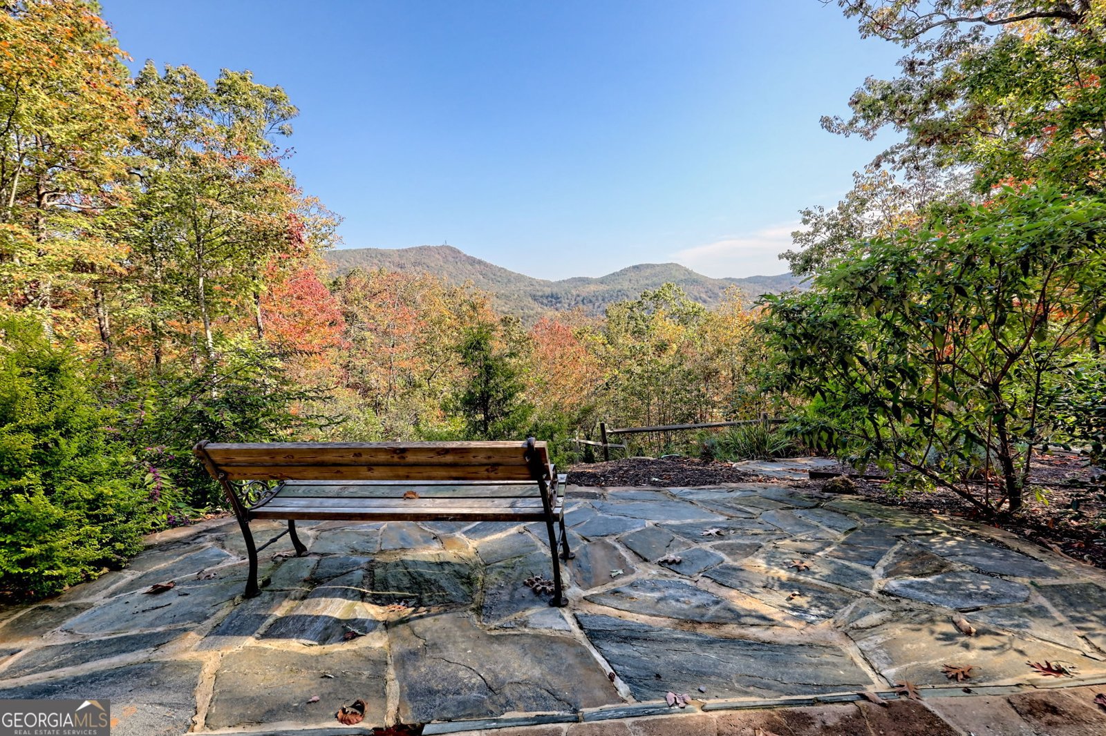 557 Walnut Grove Lane Tiger - 3