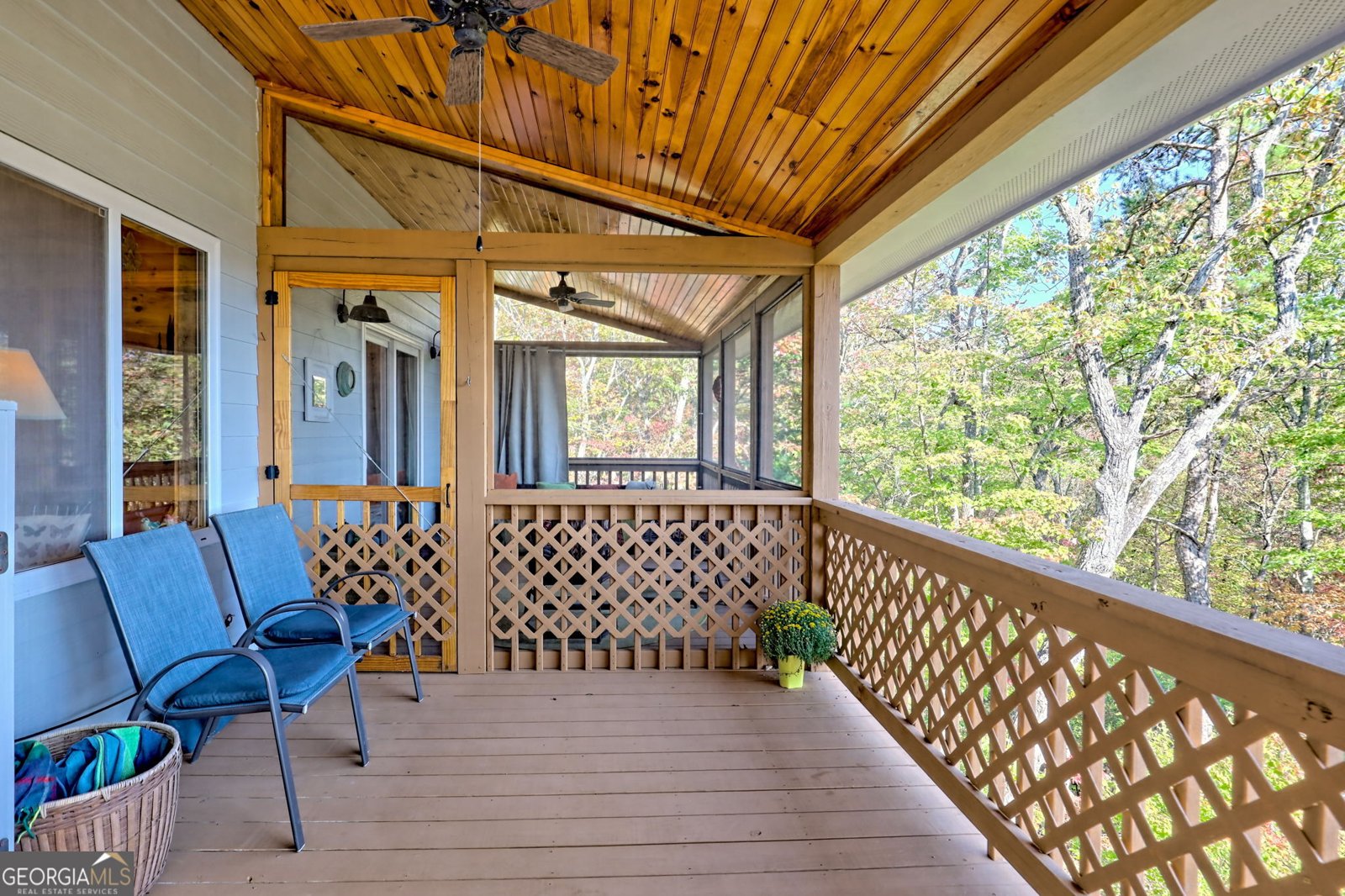 557 Walnut Grove Lane Tiger - 46