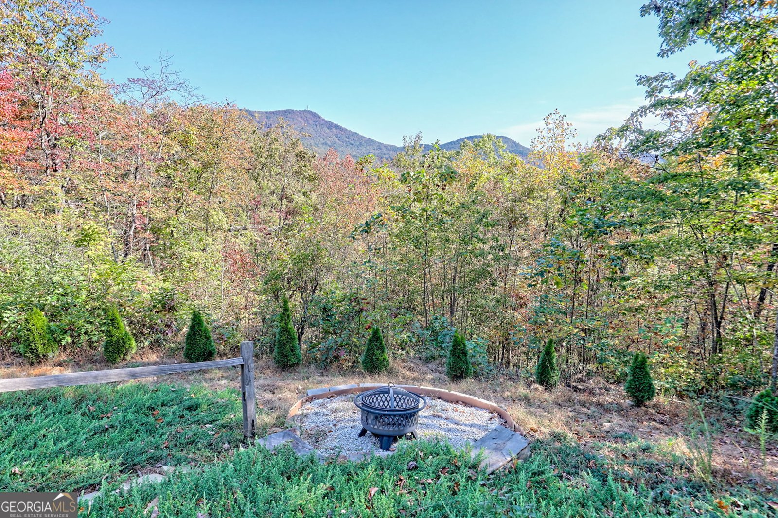 557 Walnut Grove Lane Tiger - 56