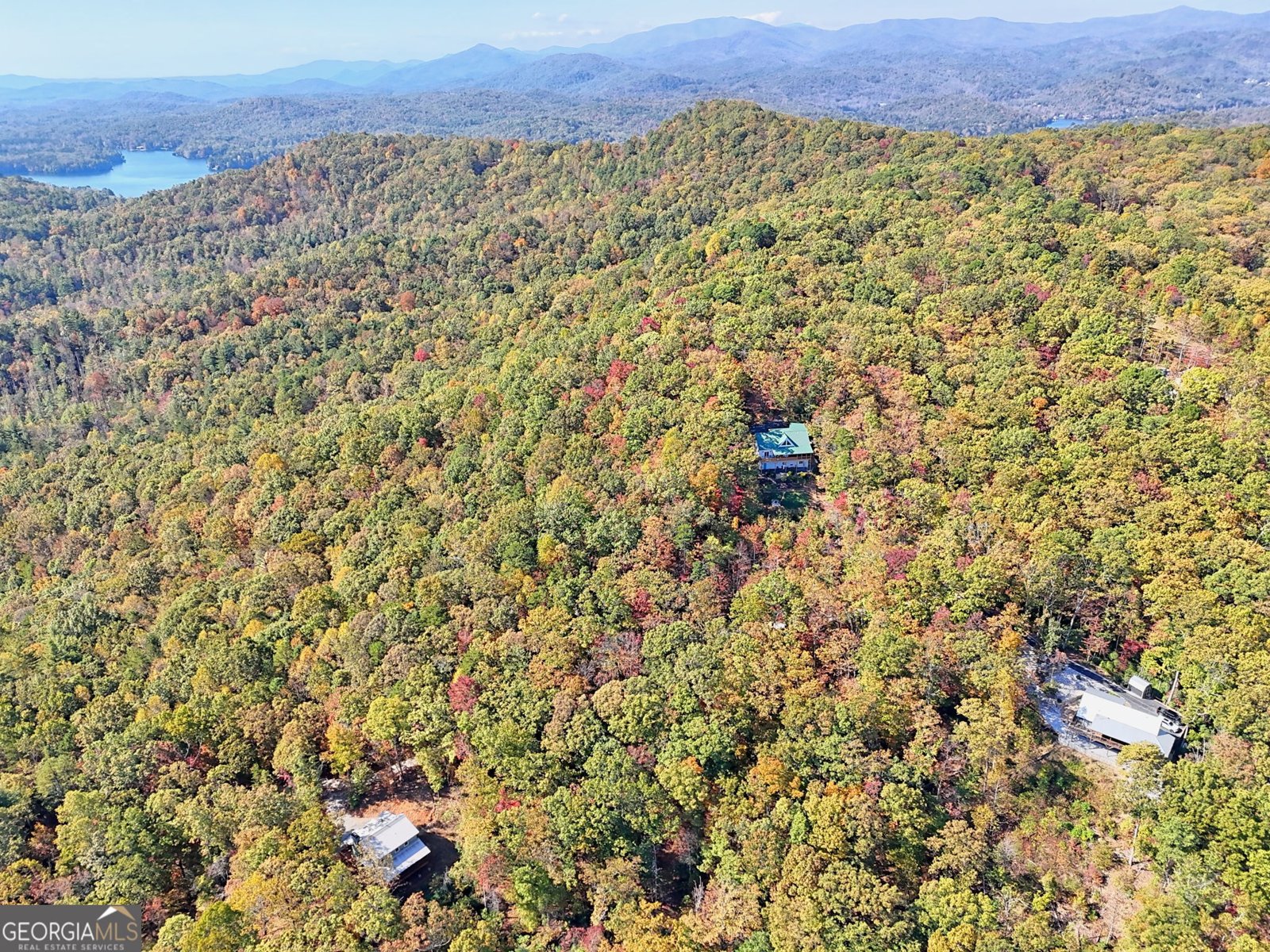 557 Walnut Grove Lane Tiger - 61