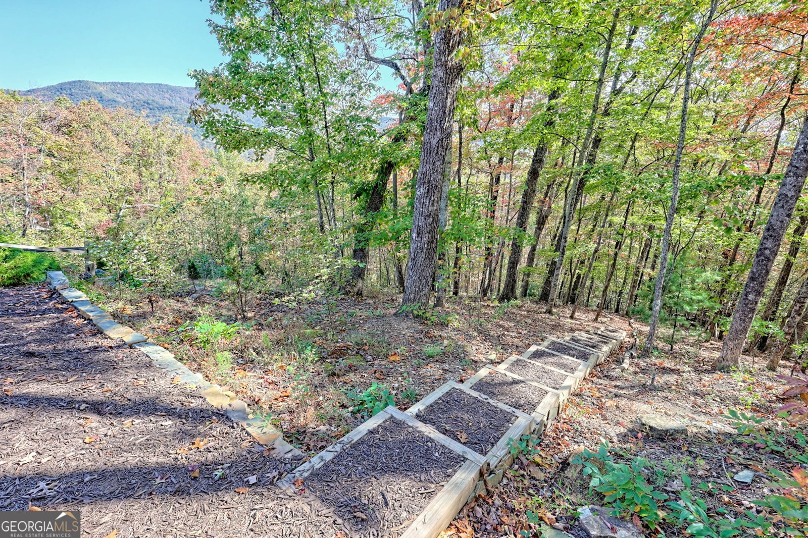 557 Walnut Grove Lane Tiger - 68