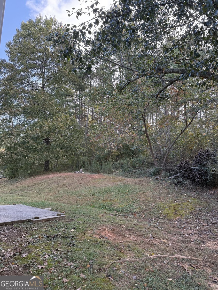 39 Ridge Drive Adairsville - 20