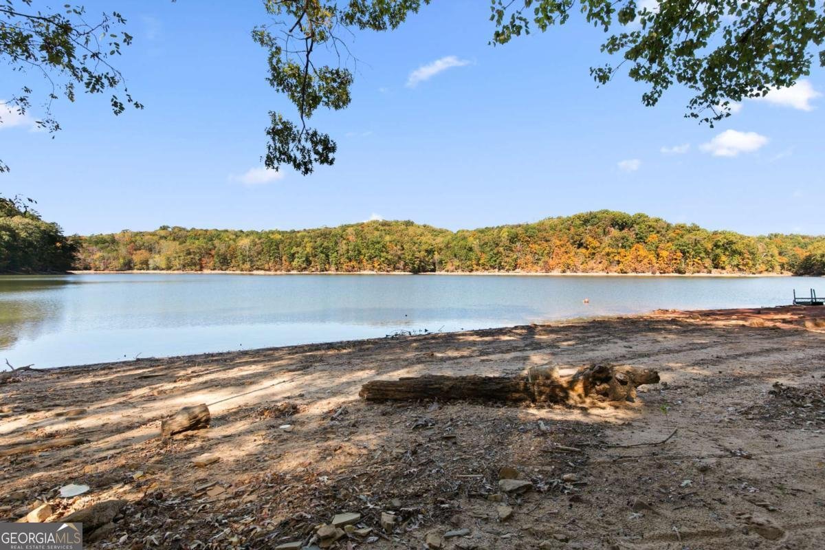 4008 Tree Line Court Gainesville - 12