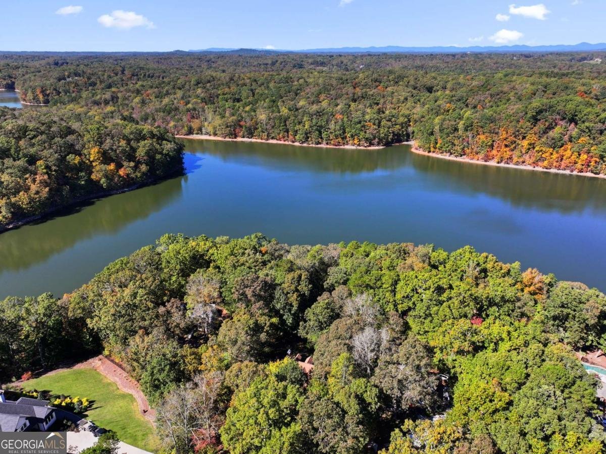 4008 Tree Line Court Gainesville - 13