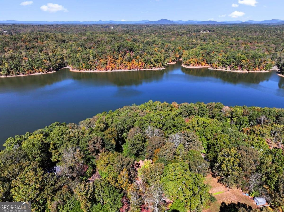 4008 Tree Line Court Gainesville - 14