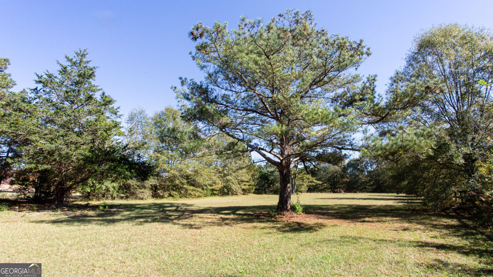 2960 Old Farmington Road Watkinsville - 40