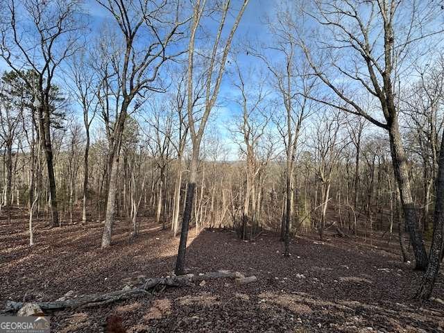 245 Frontier Circle Summerville - 4