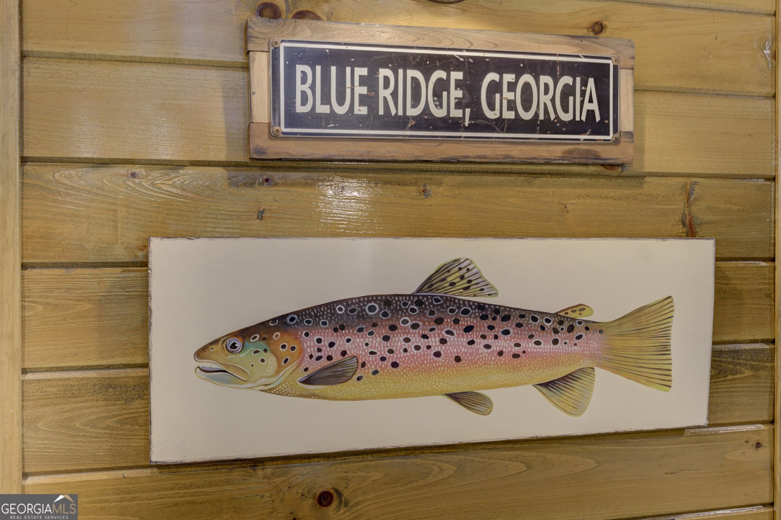 2263 Dial Road Blue Ridge - 23