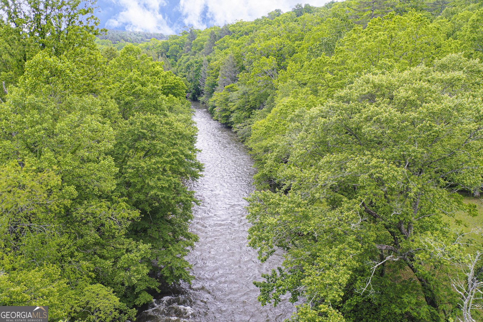 2263 Dial Road Blue Ridge - 45