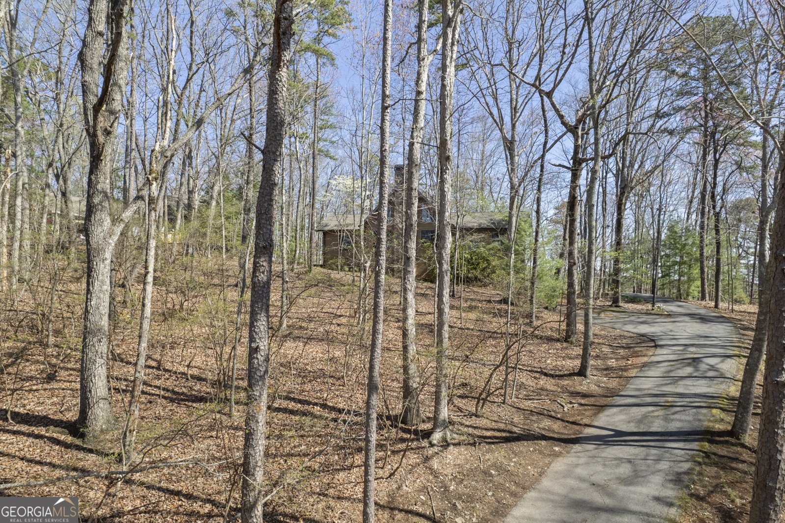 374 Shetland Trace Big Canoe - 33