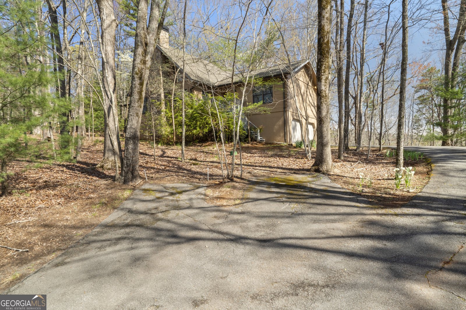 374 Shetland Trace Big Canoe - 41