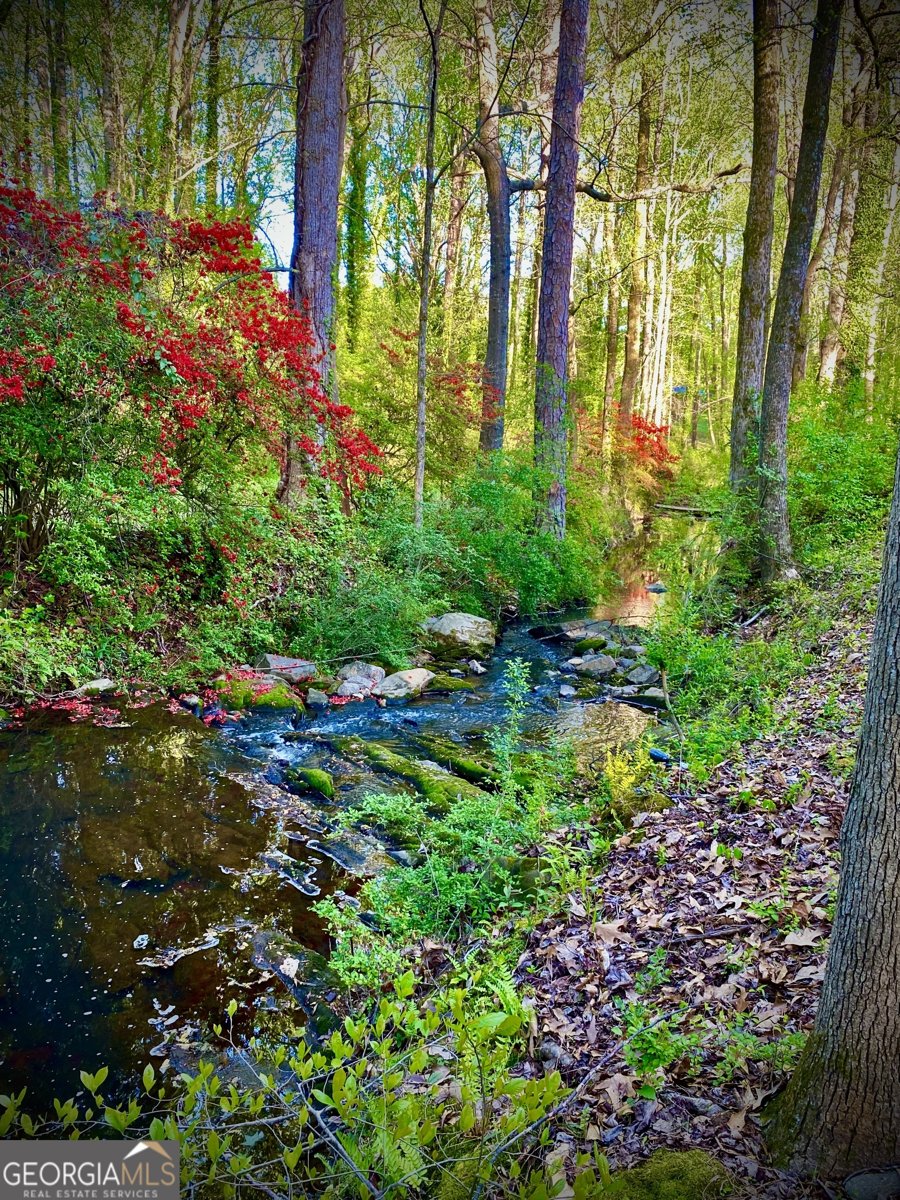 8980 Par Drive Douglasville - 42