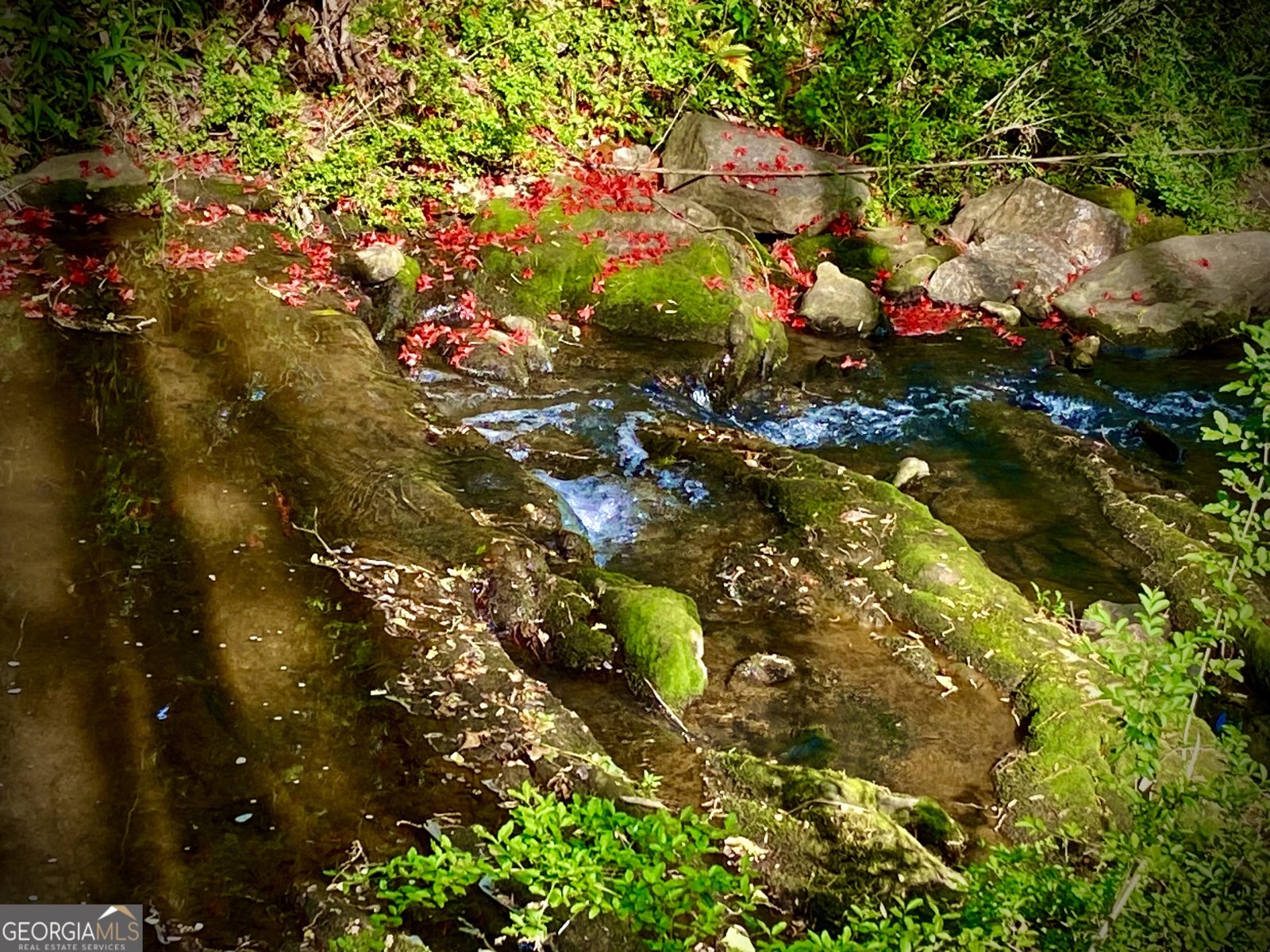 8980 Par Drive Douglasville - 45