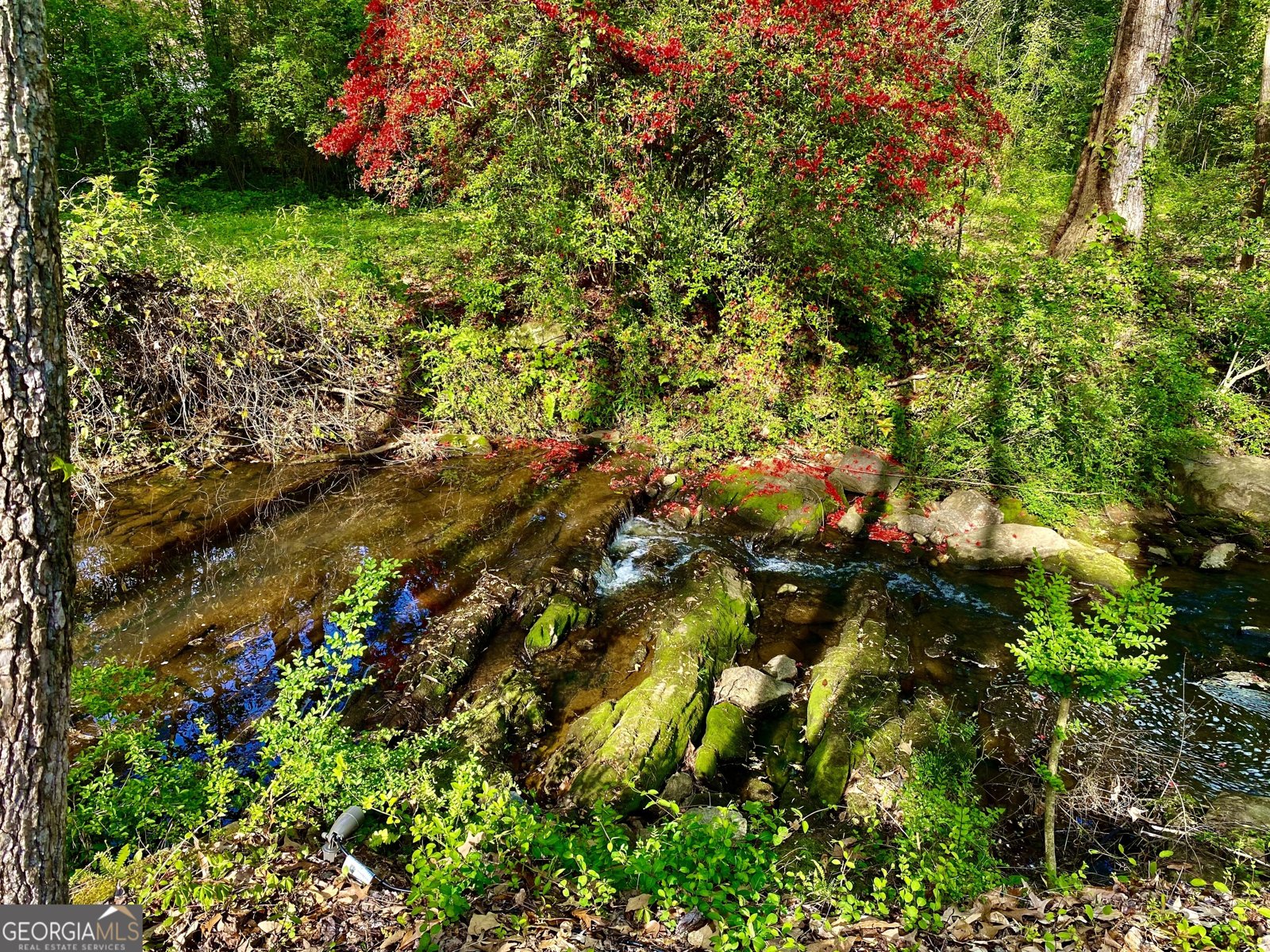 8980 Par Drive Douglasville - 46