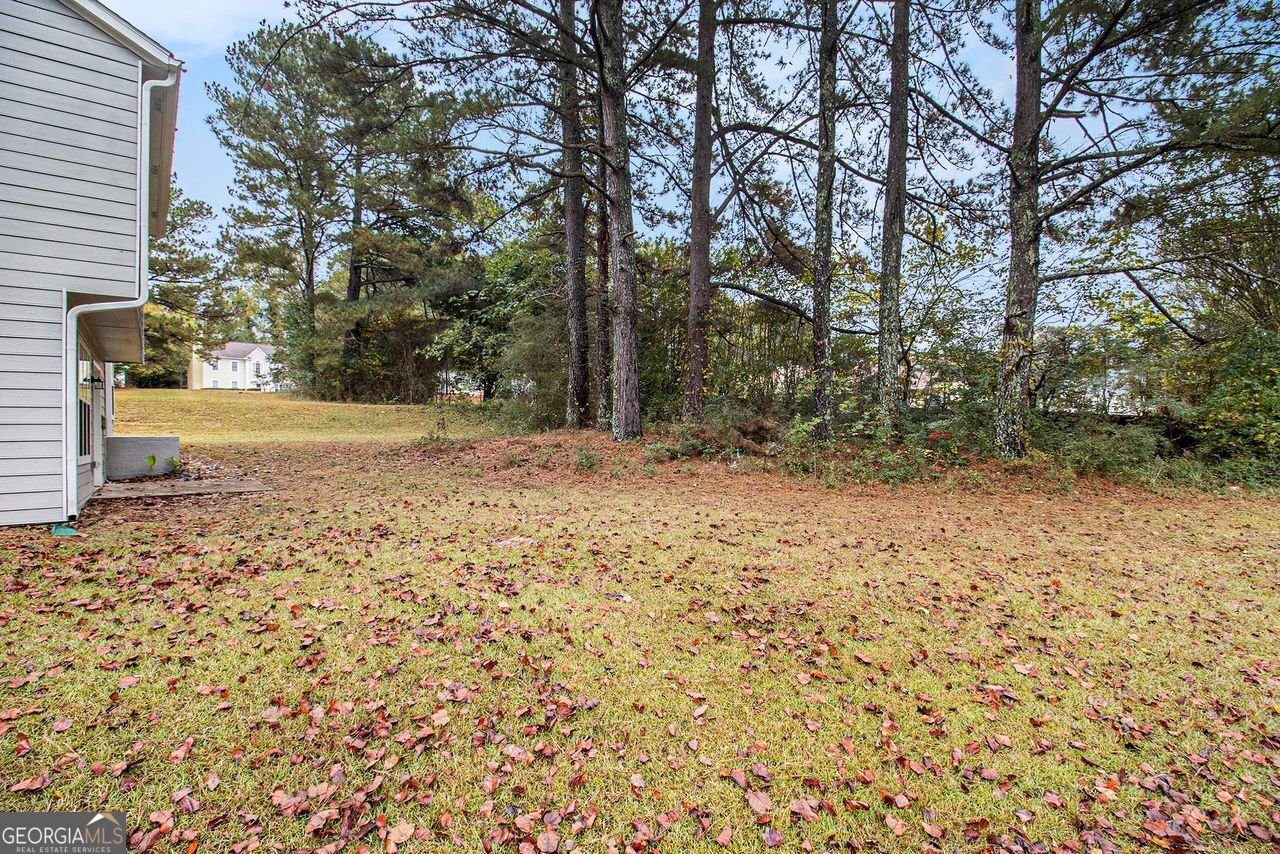 5459 WINSLOW Crossing Lithonia - 33