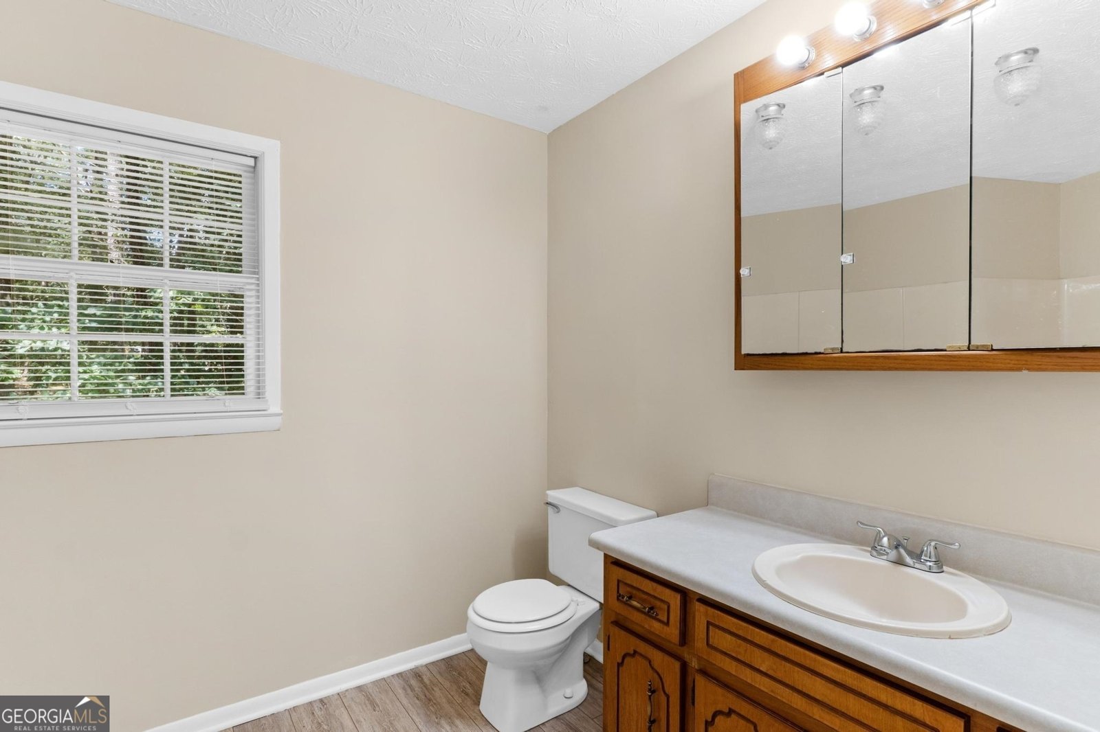 5 Dogwood Lane McDonough - 19