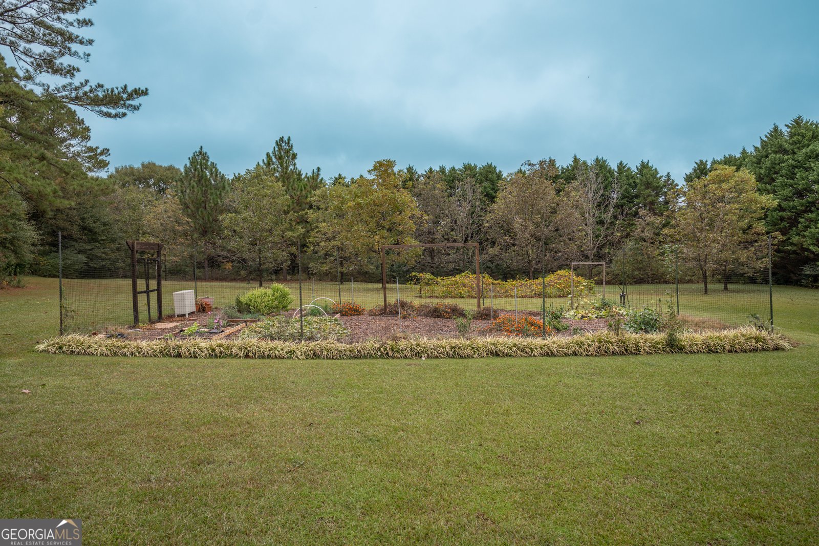 142 Williams Trail Griffin - 6