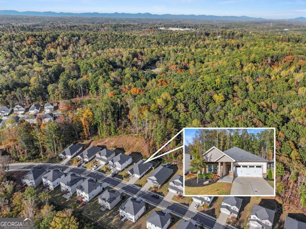 328 Magnolia Drive Dawsonville - 46