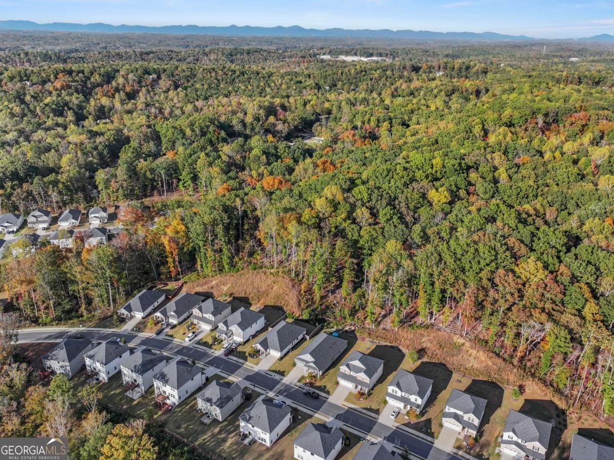 328 Magnolia Drive Dawsonville - 47