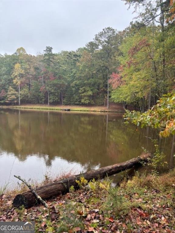 2750 Browning Road Rockmart - 17