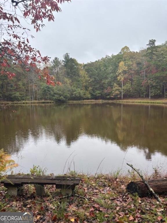 2750 Browning Road Rockmart - 18