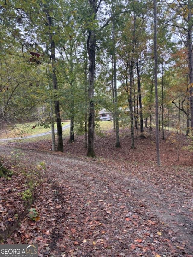 2750 Browning Road Rockmart - 27