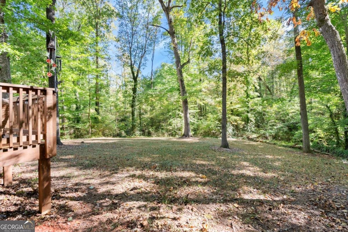 3042 Cobb Trail Decatur - 7