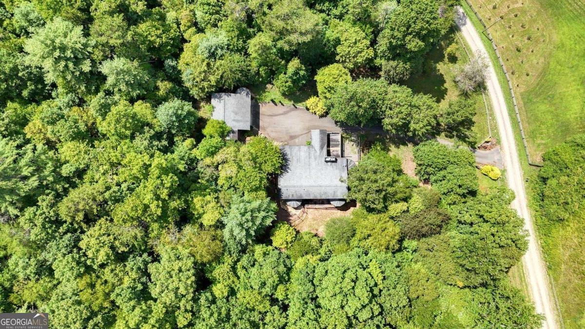 1048 Hawks Claw Road Blairsville - 53