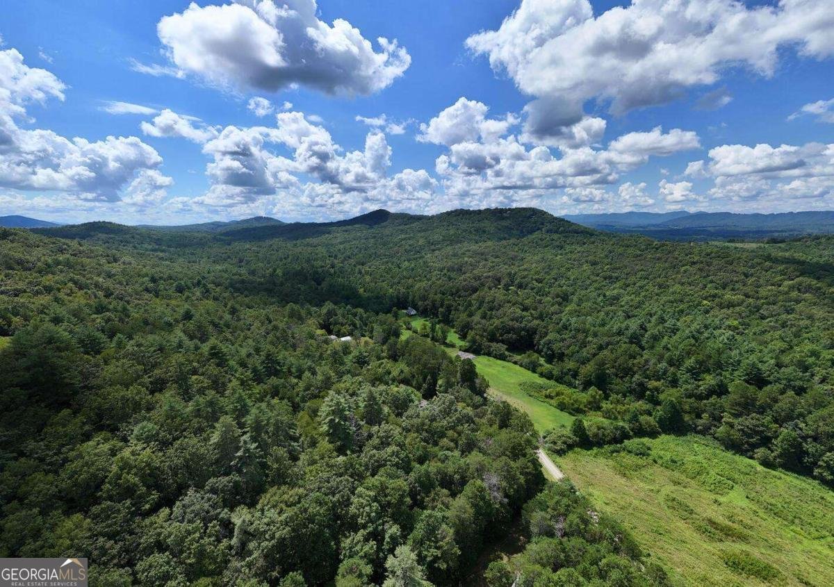 1048 Hawks Claw Road Blairsville - 54