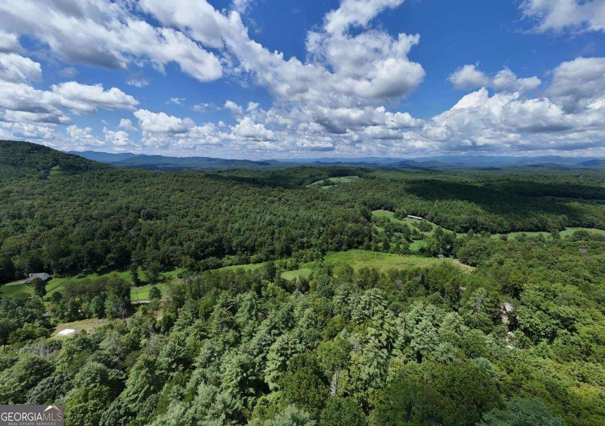 1048 Hawks Claw Road Blairsville - 55