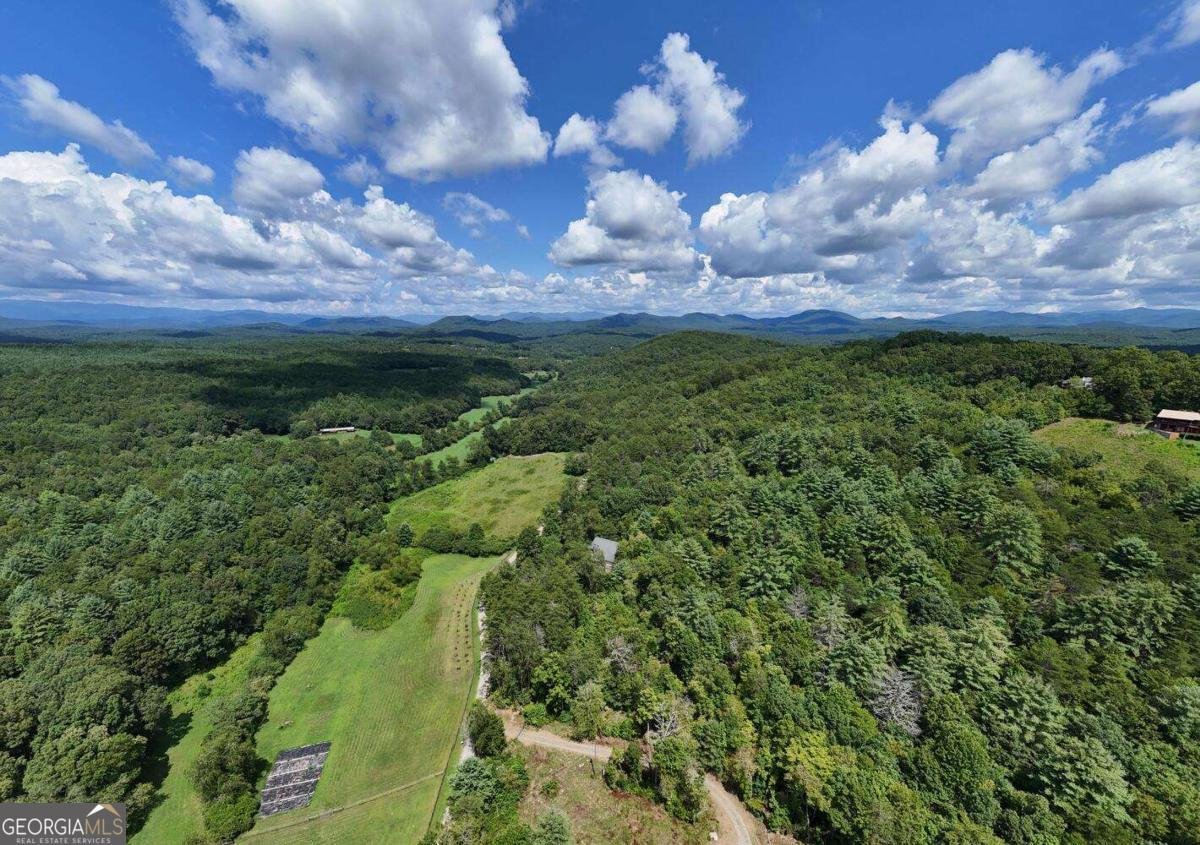 1048 Hawks Claw Road Blairsville - 56