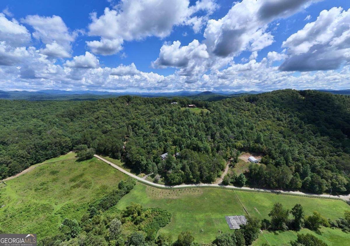 1048 Hawks Claw Road Blairsville - 57