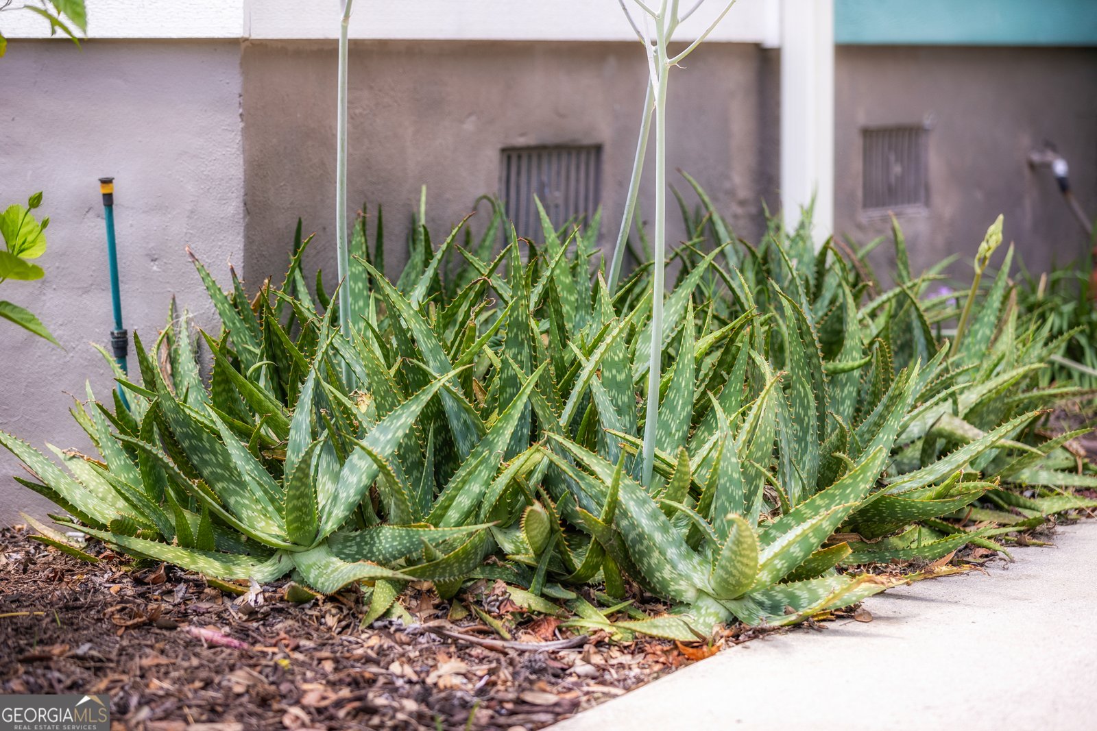 802 Seminole Avenue St. Marys - 69