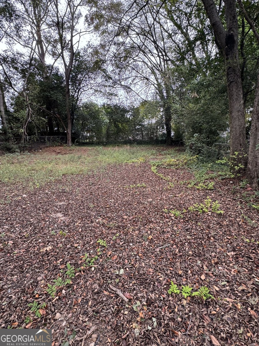 927 Dozier Street Columbus - 7