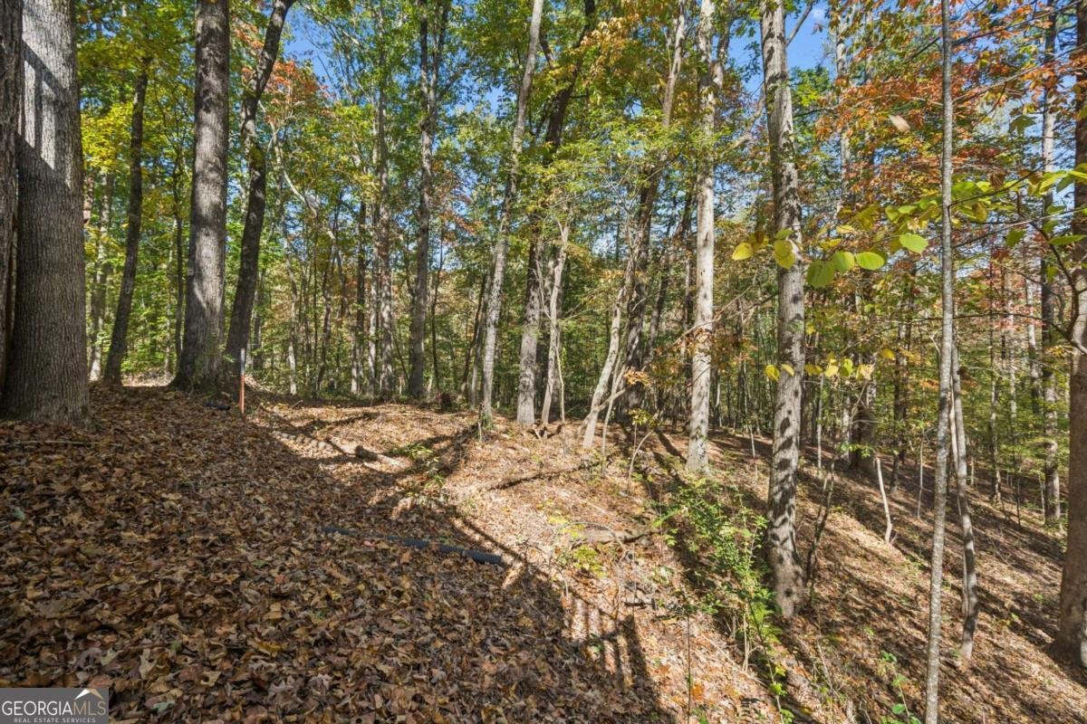 6155 Quail Mountain Trail Gainesville - 32