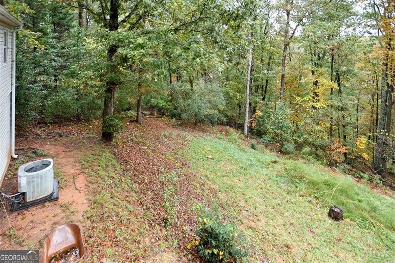 3711 RAMBLING WOODS Drive Loganville - 43