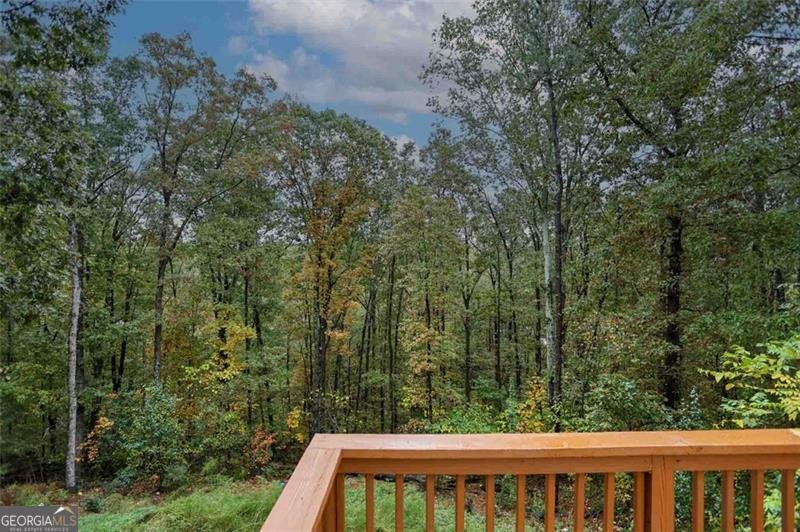 3711 RAMBLING WOODS Drive Loganville - 44