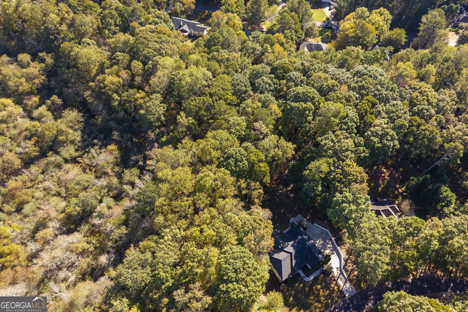 2130 Keeneland Drive Bogart - 6