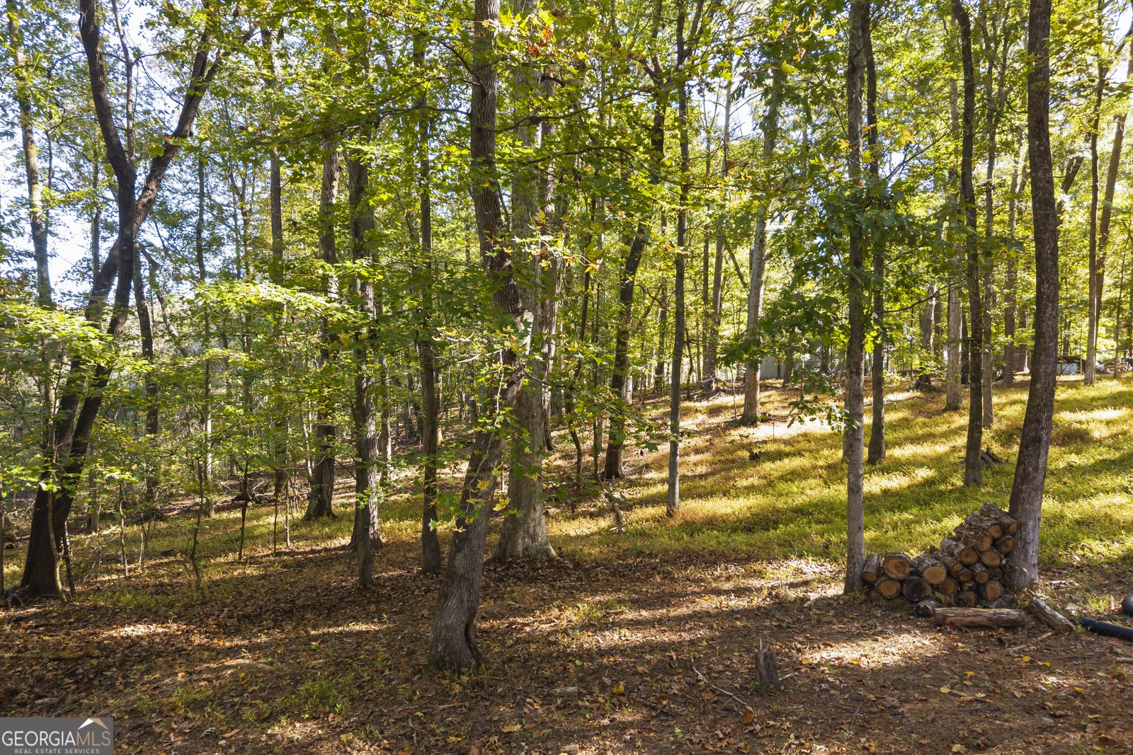 2130 Keeneland Drive Bogart - 84