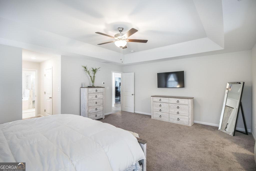 4580 Capulet Court Forsyth - 20