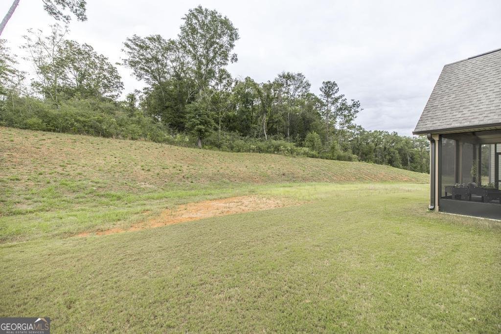 4580 Capulet Court Forsyth - 35