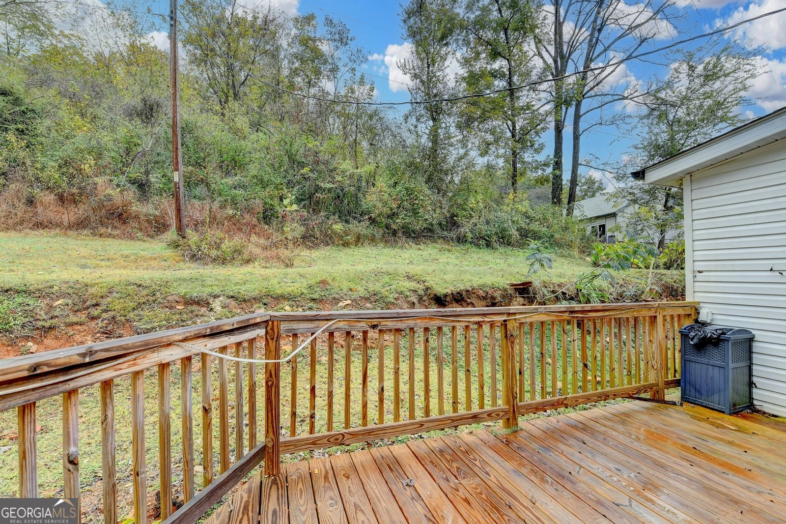 2235 Canton Road Ball Ground - 40