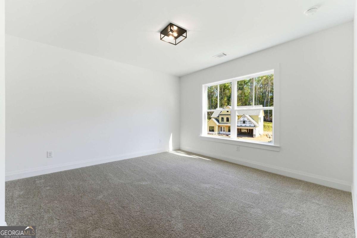 1209 Sterlington Drive Canton - 29