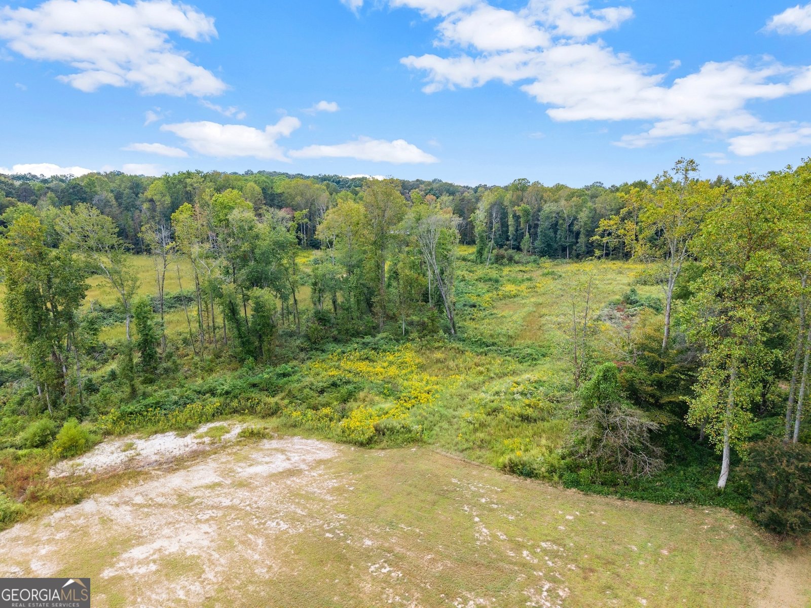 6147 Dahlonega Highway Clermont - 58